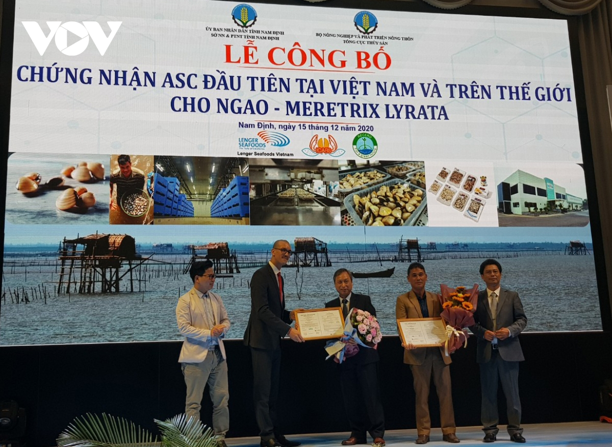 Vietnamese clam become the world first to receive ASC certificate 3925 10